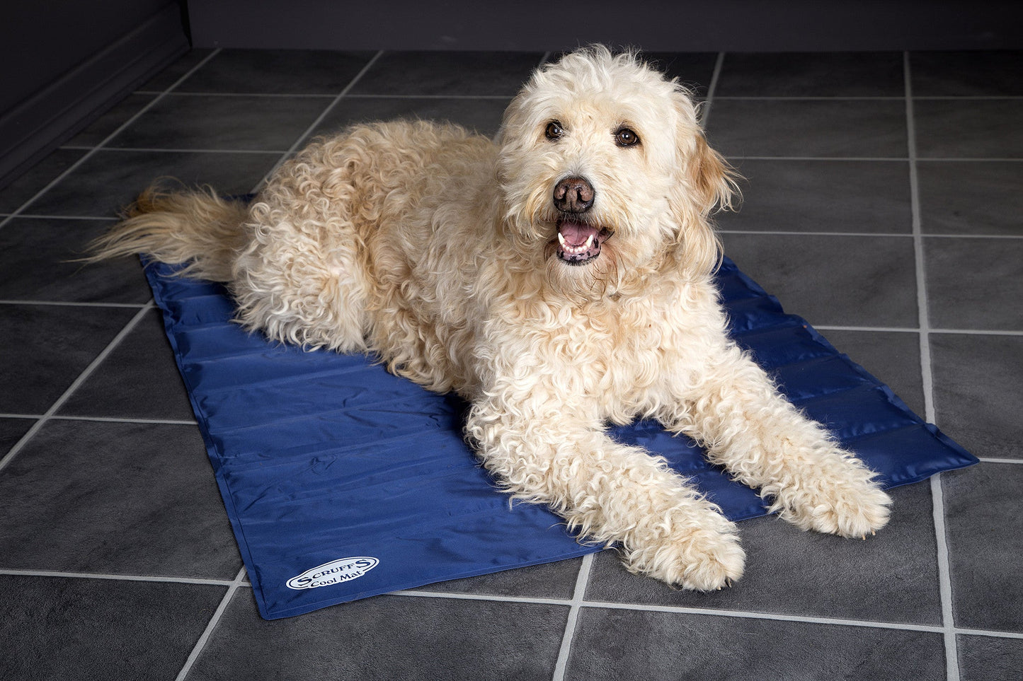 Självkylande Hundmatta – Fylld med Säker Gel