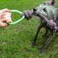 Hundleksak – Rep med Ring – Slitstark – Olika Varianter